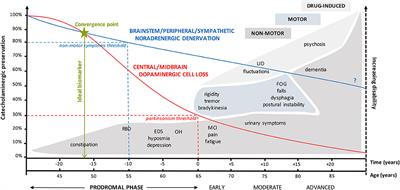 Biofluid Markers for Prodromal Parkinson's Disease: Evidence From a Catecholaminergic Perspective